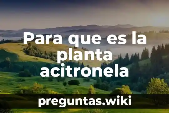 Para que es la planta acitronela