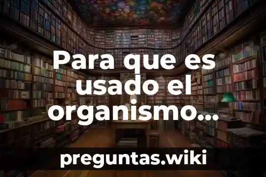 Para que es usado el organismo transgenico en la sociedad