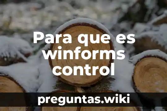 Para que es winforms control