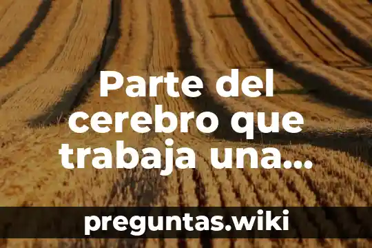 Parte del cerebro que trabaja una persona que es traductor