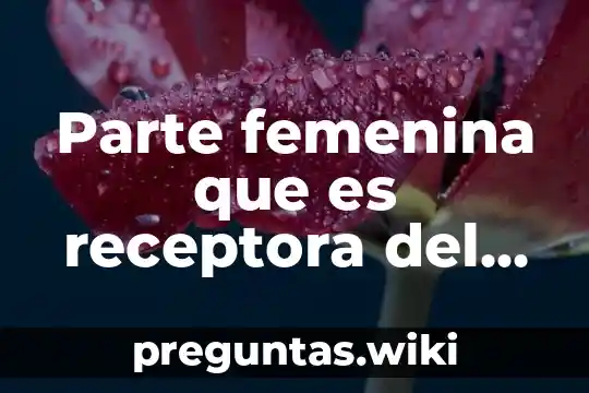 Parte femenina que es receptora del polen