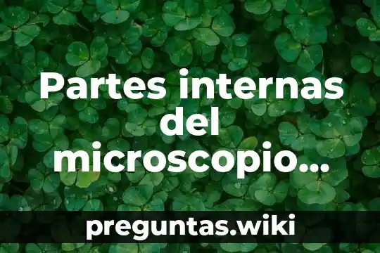 Partes internas del microscopio que es la charnela
