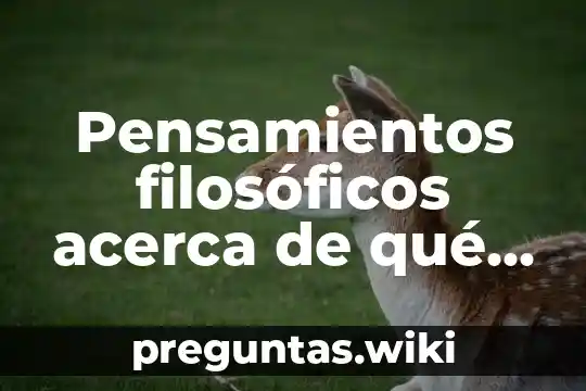Pensamientos filosóficos acerca de qué es la ética