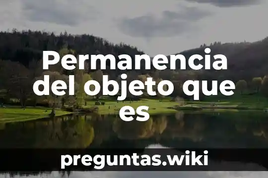Permanencia del objeto que es
