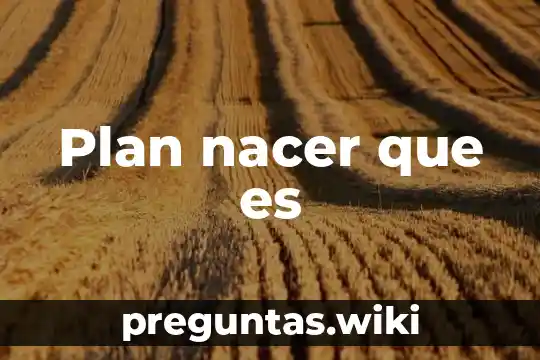 Plan nacer que es