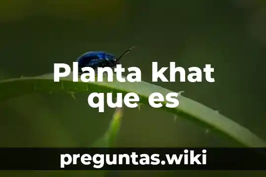Planta khat que es
