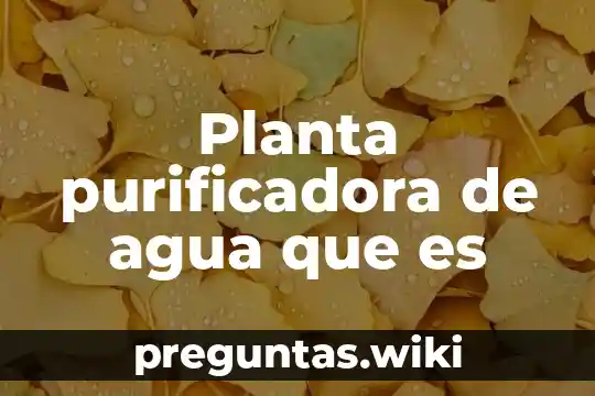 Planta purificadora de agua que es