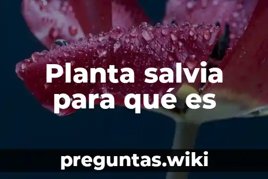 Planta salvia para qué es