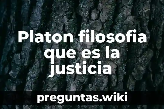 Platon filosofia que es la justicia