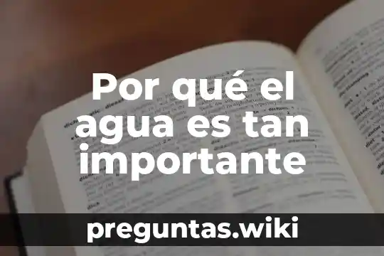 Por qué el agua es tan importante