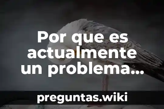 Por que es actualmente un problema una botella de plastico