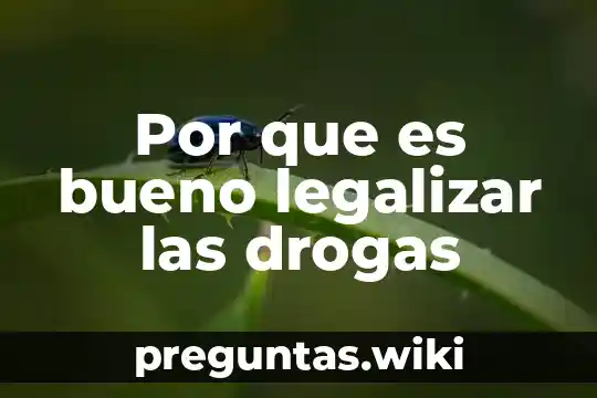 Por que es bueno legalizar las drogas