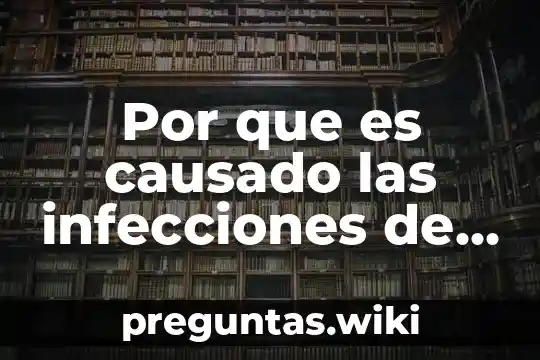 Por que es causado las infecciones de transmisión sexual