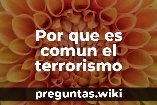 Por que es comun el terrorismo