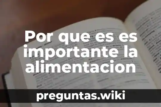 Por que es es importante la alimentacion