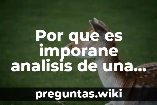 Por que es imporane analisis de una sociedad