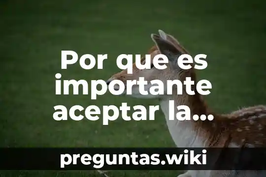 Por que es importante aceptar la diversidad humana general