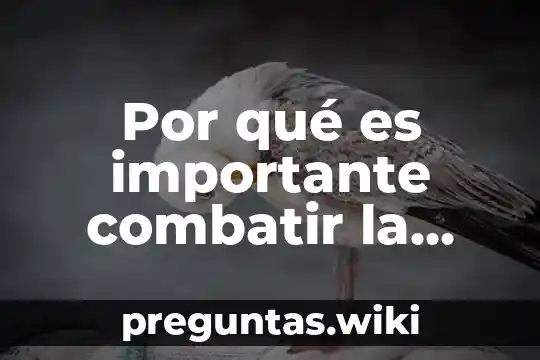 Por qué es importante combatir la violencia de género