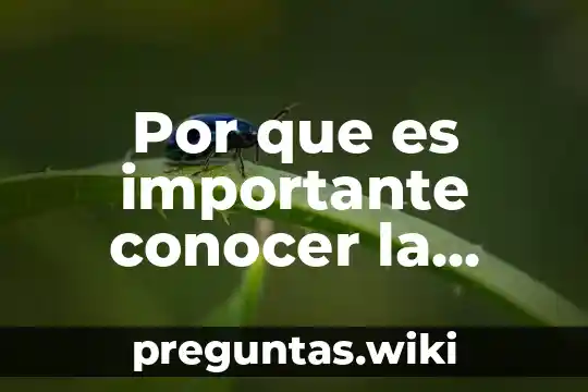 Por que es importante conocer la aritmetica