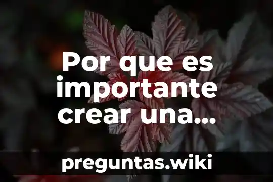 Por que es importante crear una cadena de suministros