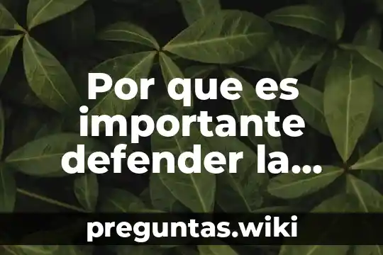 Por que es importante defender la vida humana