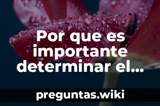 Por que es importante determinar el tipo de agua