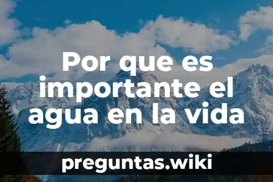 Por que es importante el agua en la vida