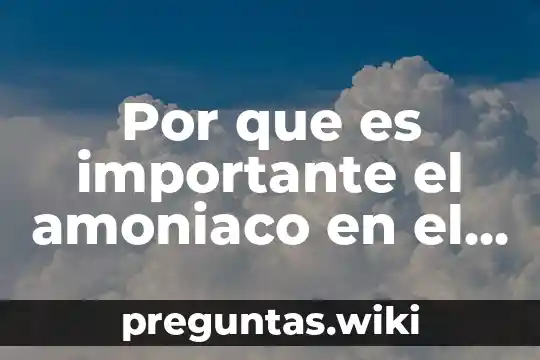 Por que es importante el amoniaco en el organismo homano