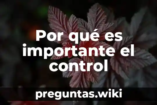 Por qué es importante el control