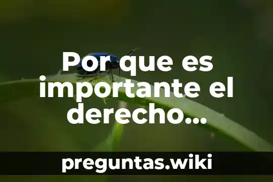 Por que es importante el derecho corporativo