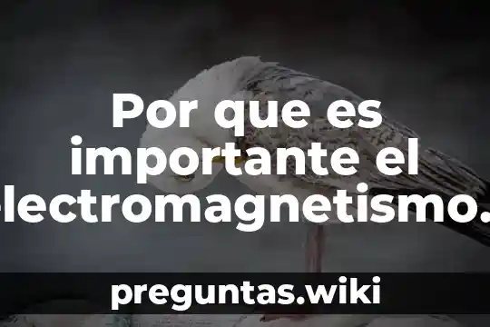 Por que es importante el electromagnetismo en la electricidad