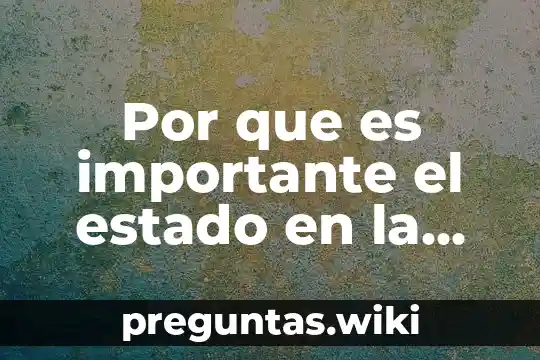 Por que es importante el estado en la economia