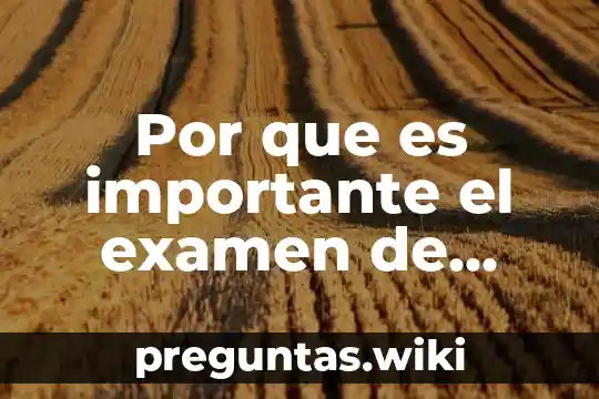 Por que es importante el examen de admision