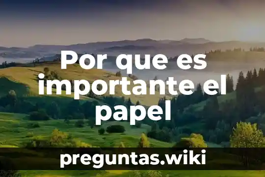 Por que es importante el papel