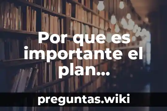 Por que es importante el plan estrategico