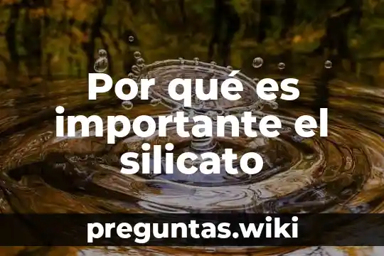 Por qué es importante el silicato