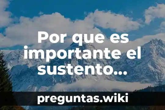 Por que es importante el sustento teorico de la lectoescritura