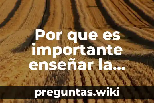 Por que es importante enseñar la estetica
