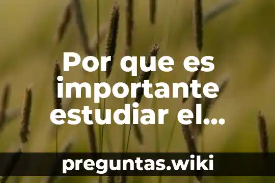 Por que es importante estudiar el color del suelo