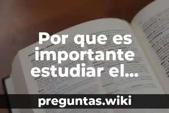 Por que es importante estudiar el problema