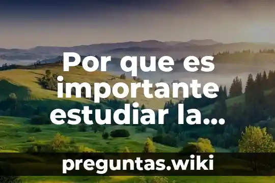 Por que es importante estudiar la conquista