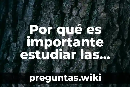 Por qué es importante estudiar las prácticas de administración