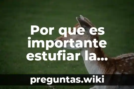 Por que es importante estufiar la violencia de genero