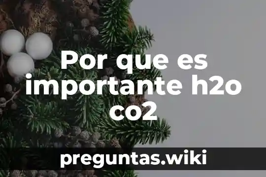 Por que es importante h2o co2