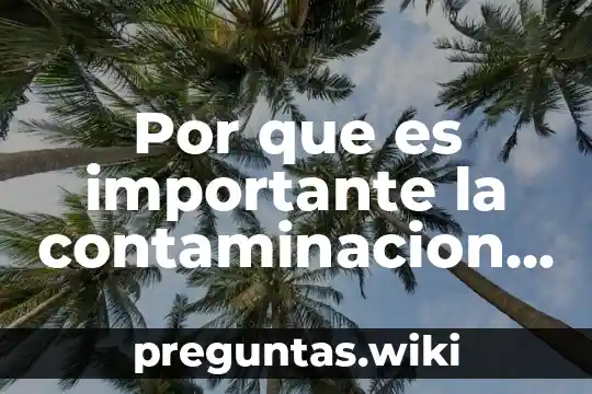 Por que es importante la contaminacion del aire