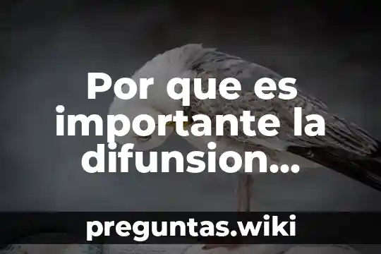 Por que es importante la difunsion cultural