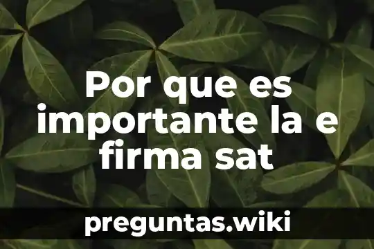 Por que es importante la e firma sat