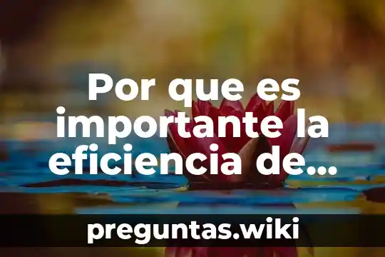 Por que es importante la eficiencia de una reaccion