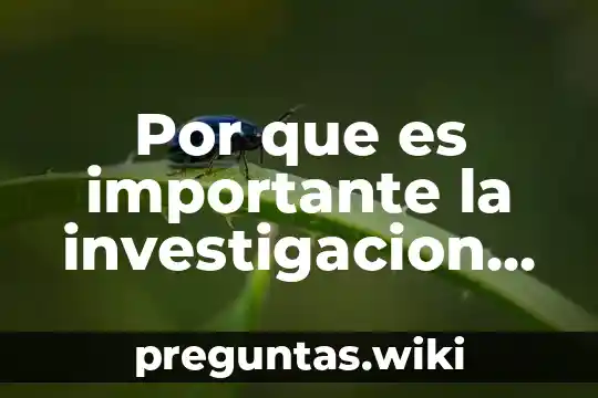 Por que es importante la investigacion para los internacionalistas