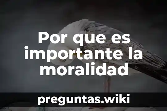 Por que es importante la moralidad